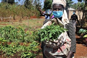 Distributing Seedlings Large.jpg