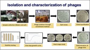 Heera lecture phage characterization Large.jpg