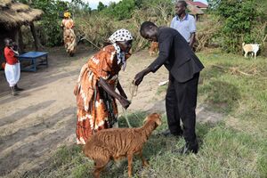 Lady getting goat Large.JPG