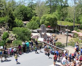 Elmwood-Park-Zoo-Arial-Courtesy-Elmood-Park-Zoo-2200x1237-699x566.jpg