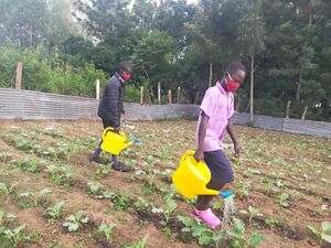 Boys watering garden Large.jpg