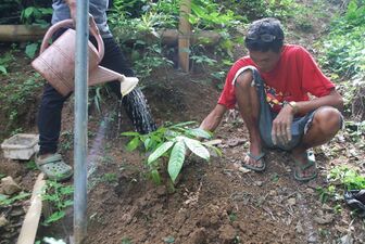 Tree planting Large.jpg