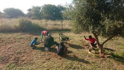 Gardening digging out weeds Large.JPG