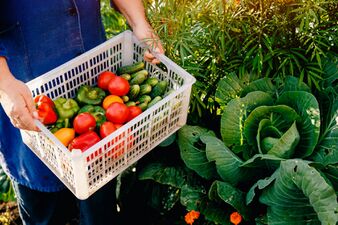 Food pallet farm agriculture Large.jpg