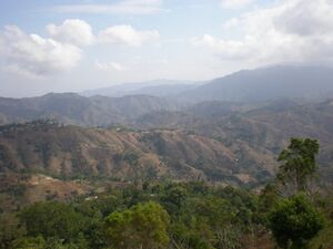 Haiti Spring 2011 091 Large.jpg